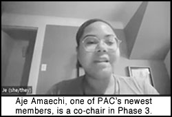 [screenshot of PAC meeting]