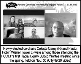 [screenshot of PCCEP meeting]