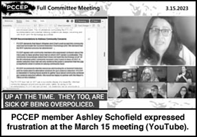 [screenshot from March 15th PCCEP meeting via 
YouTube]