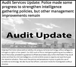 [Audit Update]